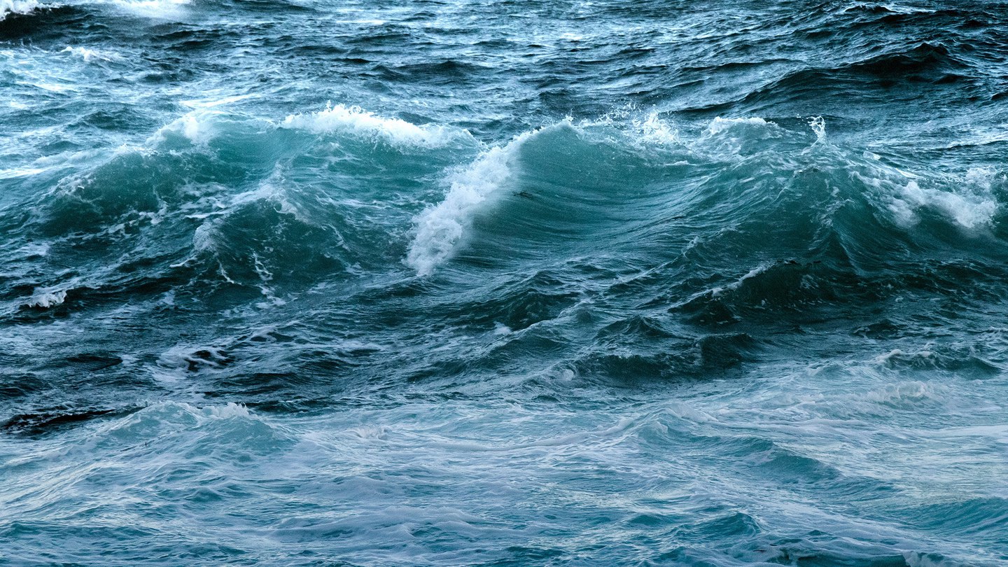 formas de ayudar a salvar los oceanos