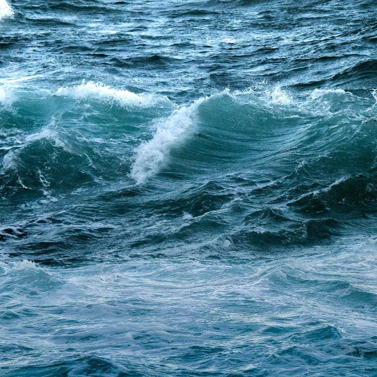 formas de ayudar a salvar los oceanos