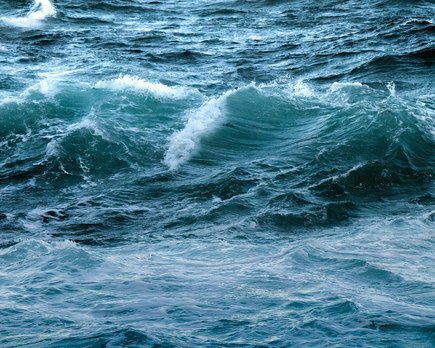 formas de ayudar a salvar los oceanos