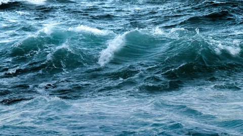 formas de ayudar a salvar los oceanos
