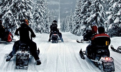 noruega suecia