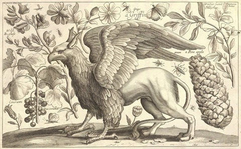 grifo