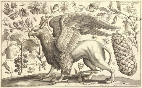 grifo
