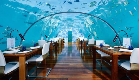 conrad maldives rangali island comedor sumergido