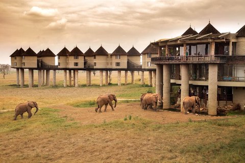 sarova saltlick game lodge