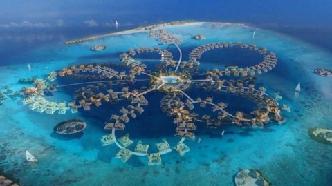 the ocean flower