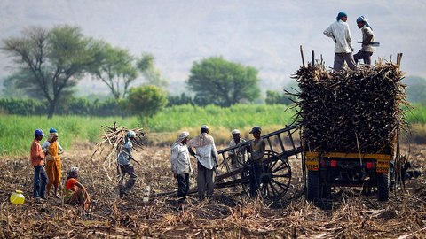 el estado de kerala es comunista