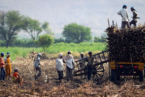 el estado de kerala es comunista