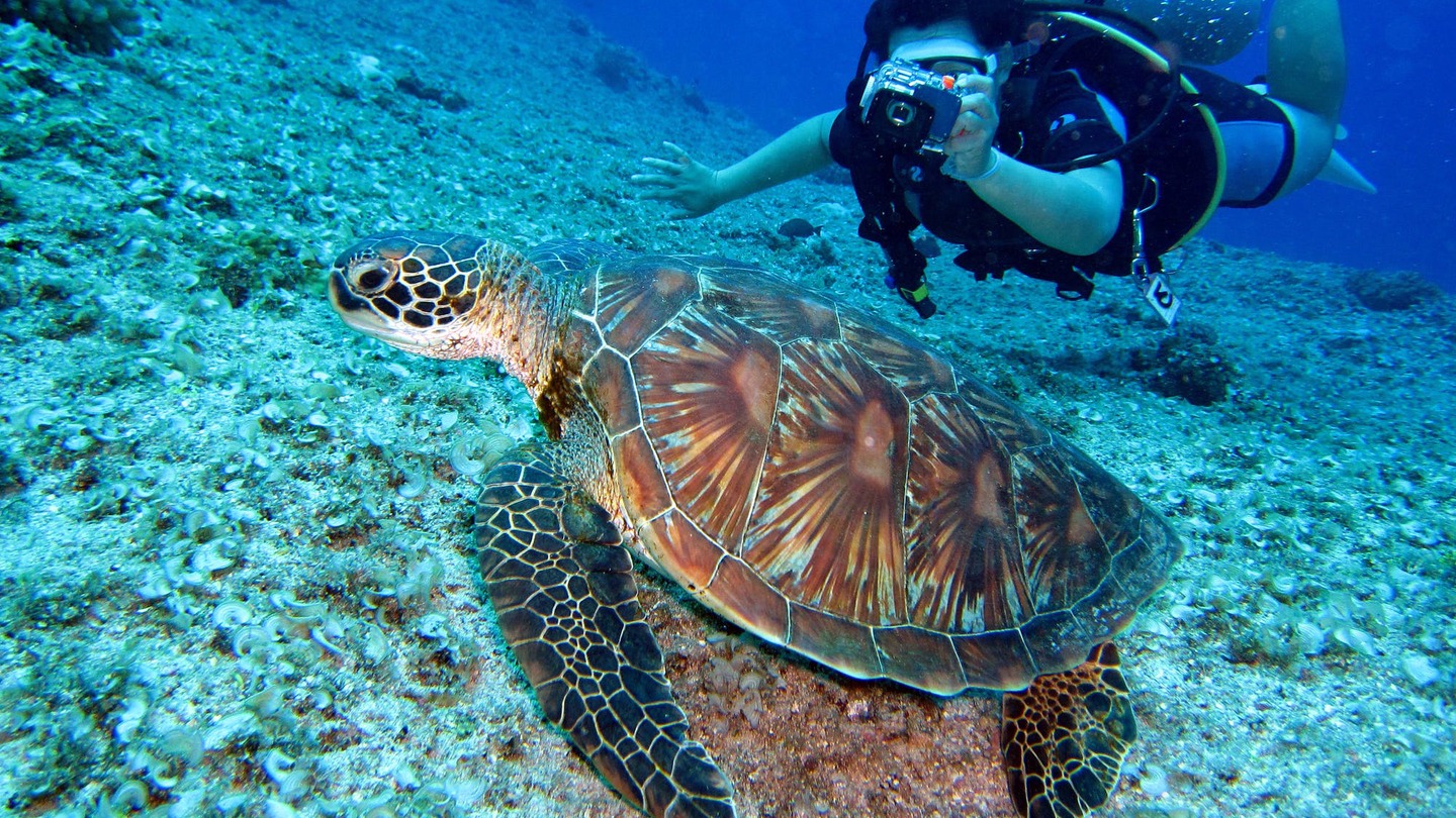 buceo bali