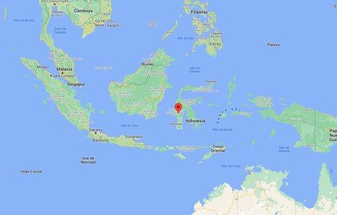 toraja