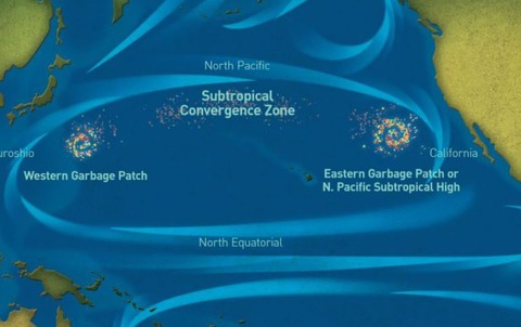 parche basura pacifico