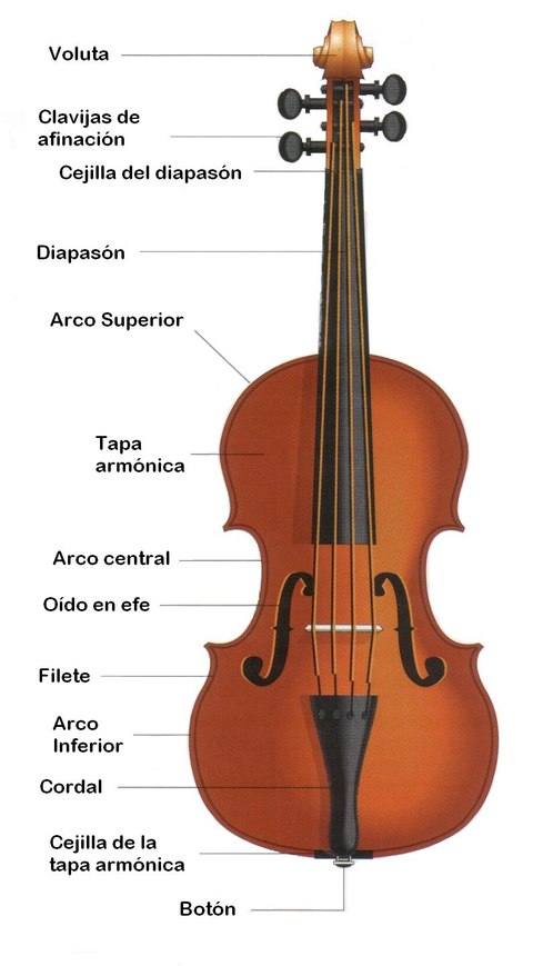 partes violin