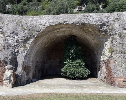 higuera invertida