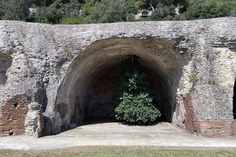 higuera invertida