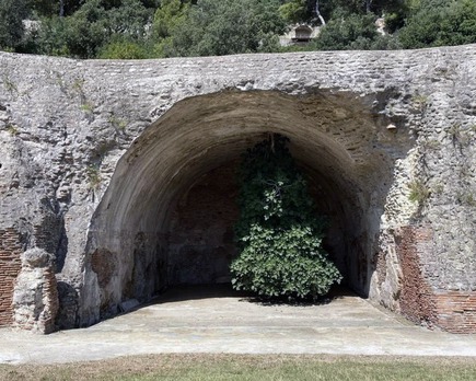 el famoso árbol invertido que cuelga del tejado de una antigua ruina