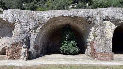 el famoso árbol invertido que cuelga del tejado de una antigua ruina
