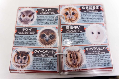 akiba fukurou book 2