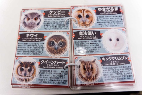 akiba fukurou book 2