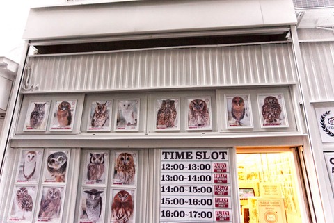 akiba fukurou outside