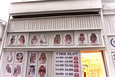 akiba fukurou outside