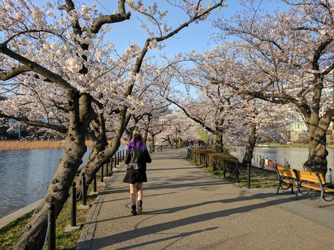 barrio ueno tokio japon