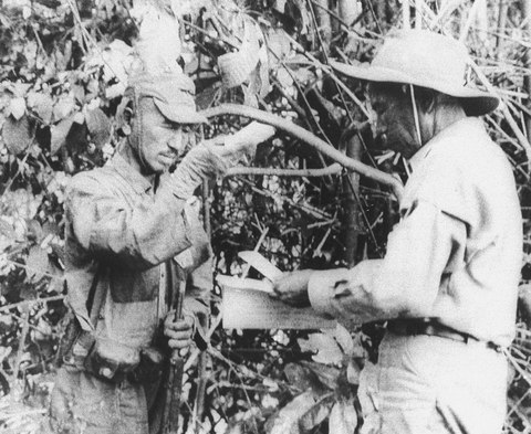hiroo onoda selva
