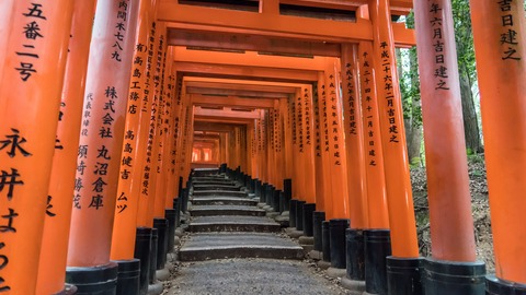 las 15 mejores cosas que ver y hacer en kioto