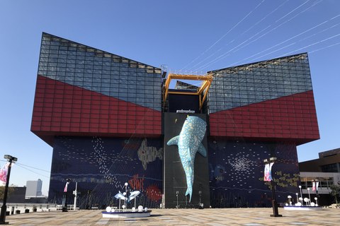 acuario de osaka japon