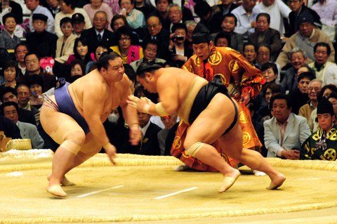 sumo osaka japon