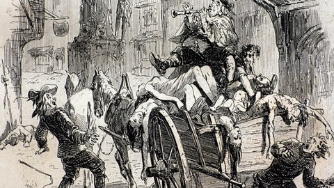 la peste negra datos sobre la pandemia mas mortifera de la historia