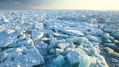 mares del oceano artico