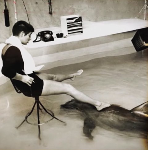 la mujer que susurraba a los delfines