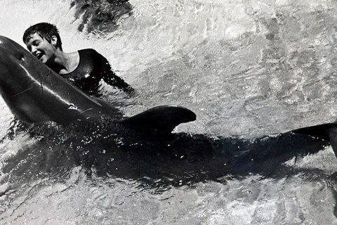 margaret howe lovatt la mujer que susurraba a los delfines