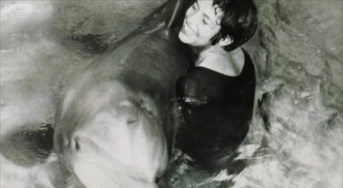 margaret howe lovatt la mujer que susurraba a los delfines