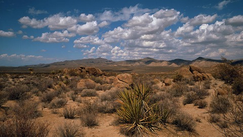 mas personas mueren en los desiertos por ahogamiento que por deshidratacion