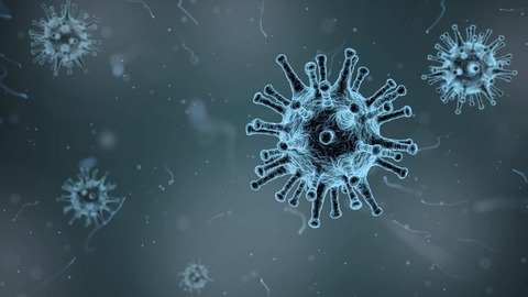 mejores webs evolucion coronavirus