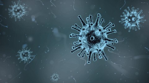 mejores webs evolucion coronavirus