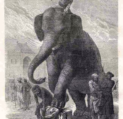aplastamiento elefante