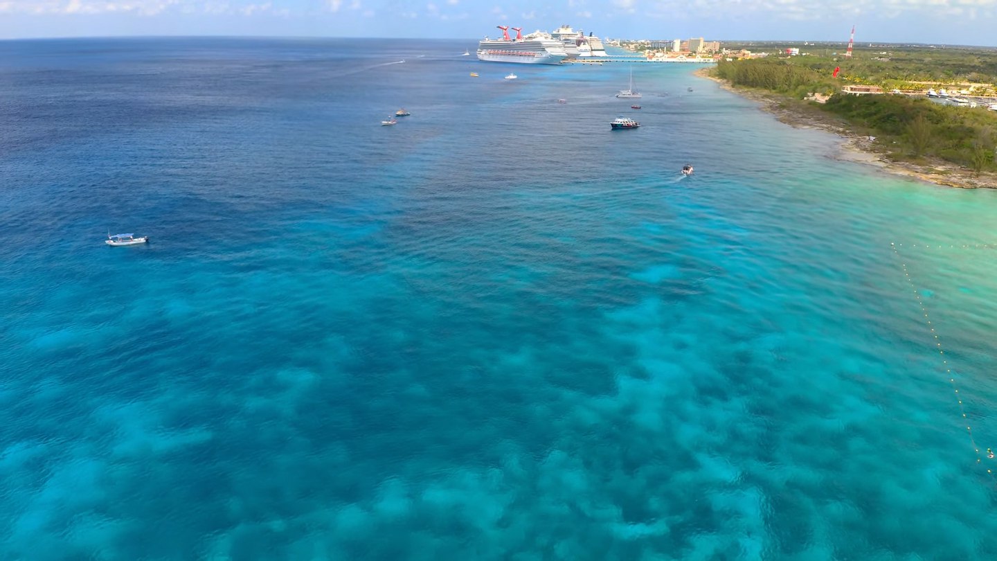 animales unicos isla cozumel