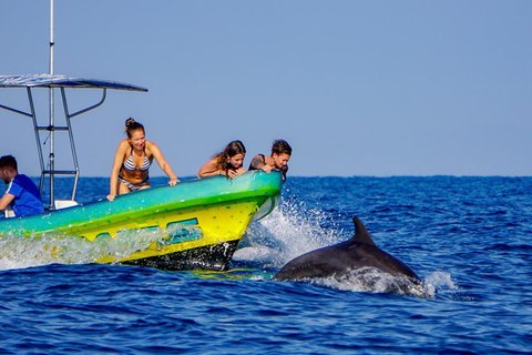 delfines pe