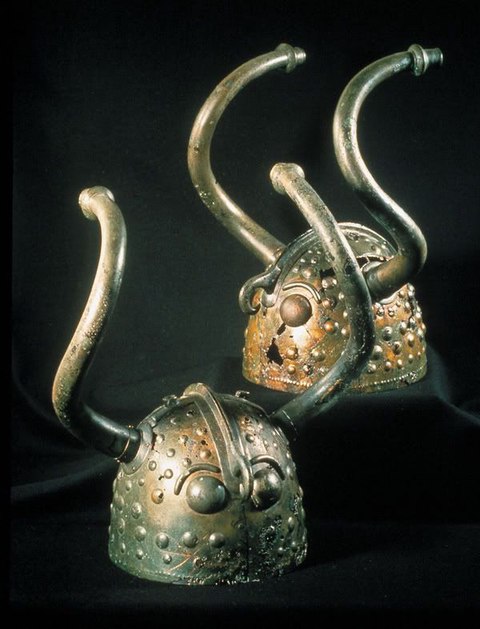 cascos de vikso