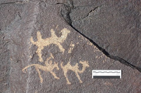 huesos camellos gigantes encontrados indican primeros humanos cazaban hace 27000 anos cueva