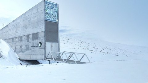 que es boveda global de semillas de svalbard