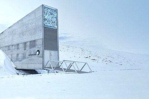 que es boveda global de semillas de svalbard