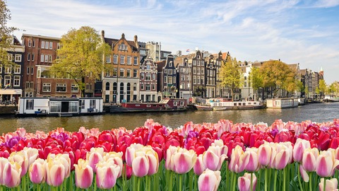 ¿ cuál es la diferencia entre holanda y los países bajos?