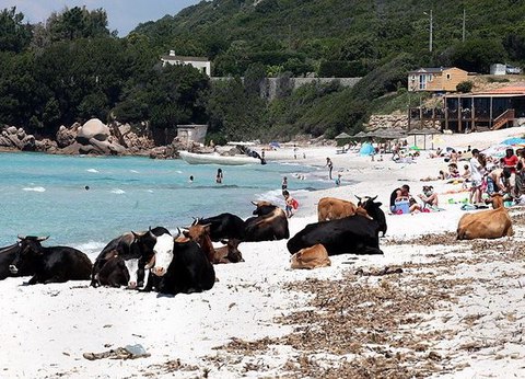 plage de saleccia