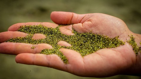 papakolea green sand beach hawaii