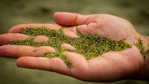 papakolea green sand beach hawaii
