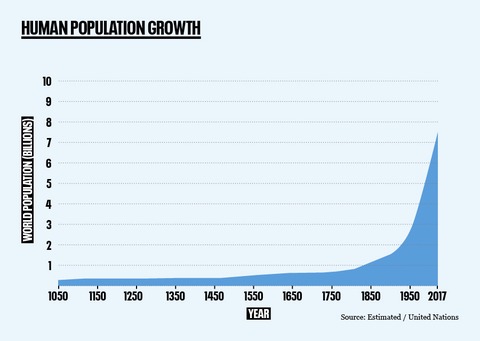 crecimiento poblacion