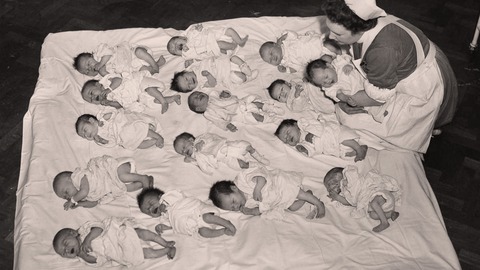 ¿ por qué aumenta tanto la población?